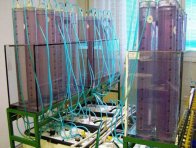 Laboratorní 48hnízdní zařízení pro sledování vývoje bioplynu s automatickým časovaným promícháváním