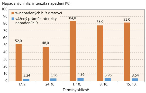 Graf 6: Procento napadených hlíz drátovci a intenzita napadení v roce 2021 při různých termínech sklizně, odrůda Rosara, lokalita Radostín