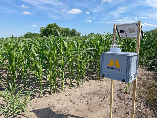 Stanice Smapp Lab monitoruje nálet zavíječe kukuřičného a indikuje nutnost provedení zásahu proti tomuto škůdci