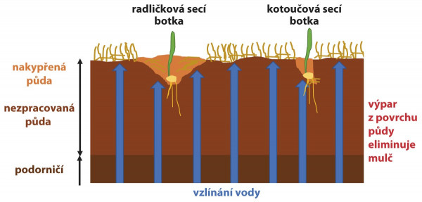 Obr. 7: Při setí do nezpracované půdy je seťové lůžko vytvářeno přímo secí botkou. Mulč na povrchu půdy zamezuje ztrátám vody evaporací
