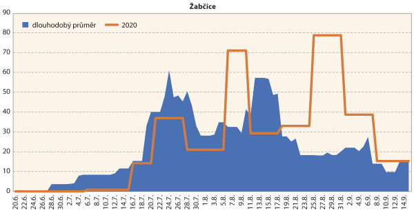 Graf 2: Srovnání průměrné denní početnosti dospělců bázlivce kukuřičného na lokalitě Žabčice v roce 2020 s dlouhodobým normálem