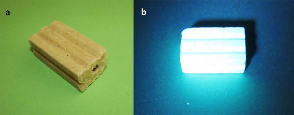 Obr. 2: Návnadové bloky Detex s fluorescenčním barvivem: (a) v běžném světle, (b) za tmy po osvícení UV baterkou