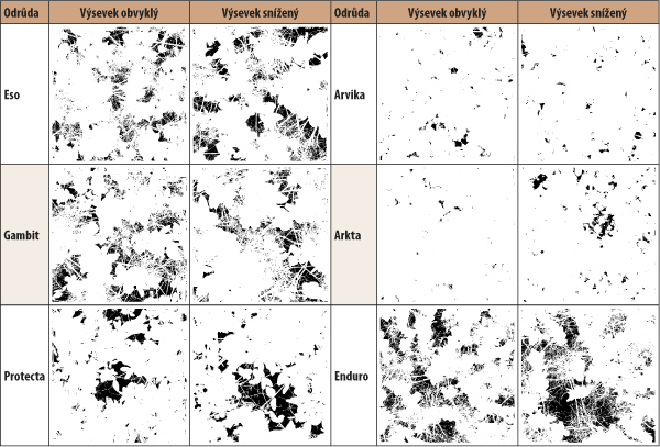 Tab. 4: Pokryvnost půdy porosty luskovin na lokalitě Stupice (31. 5. 2016); bílá barva je rostlinný pokryv, černá barva představuje holou půdu