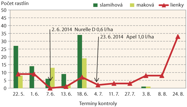 Graf: Počet rastlín napadnutých voškami (voška slamihová, voška maková) a počet rastlín s výskytom lienok v poraste slnečnice ročnej (lokalita Hlohovec, 2014)