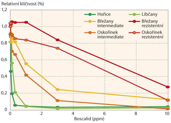 Graf 2: Relativní klíčivost spor B. cinerea (%) u jednotlivýchkoncentrací účinné látky boscalid (ppm) u vybraných reprezentativních testovaných izolátů