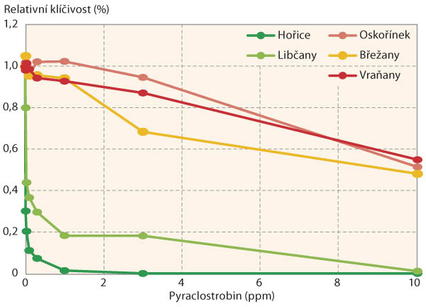Graf 3: Relativní klíčivost spor B. cinerea (%) u jednotlivých koncentrací účinné látky pyraclostrobin (ppm) u vybraných reprezentativních testovaných izolátů