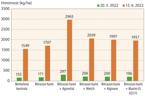Graf 2: Vliv ošetření osiva na hmotnost sušiny nadzemní hmoty (Číněves, 2022)