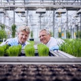 BASF inovuje pro udržitelné zemědělství