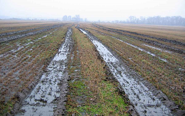Aplikace kejdy na podmáčenou půdu - Zákaz hnojení za nepříznivých podmínek se vztahuje na všechny dusíkaté hnojivé látky. Výjimkou jsou výkaly a moč zanechané hospodářskými zvířaty při pastvě nebo při jejich jiném pobytu na zemědělském pozemku. Podmínka je kontrolována v době samotné aplikace hnojiva v závislosti na aktuálním stavu zemědělského pozemku. (archiv ÚKZÚZ)