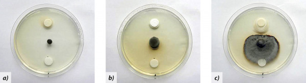 Obr. 3: a) Bumper, b) Efilor, c) Prosaro - horní sterilní terčík ponořen do fungicidu, spodní do sterilní vody - kultura Oculimacula sp. na PDA po 4 týdnech kultivace (18 °C, tma)