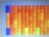 Výsledky analýzy ELISA, barevná škála označuje míru absorbance měřenou spektroskopicky; každý vzorek testován ve dvojím opakování, barevná škála označuje absorbanci od 0–5, modrá = negativní vzorek, červená = silně pozitivní vzorek