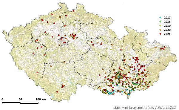 Výskyt vrtule ořechové v České republice v roce 2021