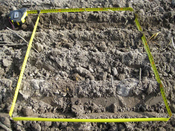 Hodnocení povrchu půdy po jejím zpracování; půda nemá být příliš utužená a hladká pro snížení rizika výskytu krusty