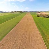 Historický přehled vývoje metodik pro hnojení orných půd fosforem vypracovaných VÚRV (II.) - Snížené hnojení