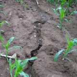 Zpracování půdy přispívající k omezení odtoku vody a smyvu zeminy