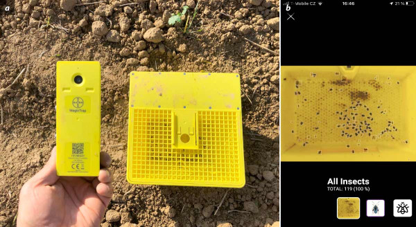 Obr. 3: Vylepšená žlutá miska s kamerou usnadní agronomům práci (a) a software dokáže brouky i spočítat (b) 