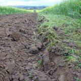 Mulčovaná sláma a kompost jako možná součást řešení eroze u brambor