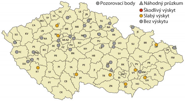 Mapa 1: Maximální výskyty dospělců krytonosce makovicového v roce 2020 na území České republiky (zdroj: eagri.cz)