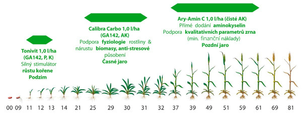 Doporučené použiti Calibra Carbo a dalších biostimulátorů při ošetření obilnin