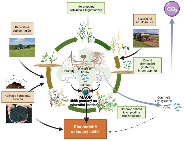 Schéma shrnující hlavní postupy regenerativního zemědělství a jejich návaznosti