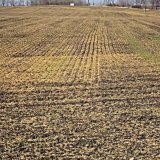 Aktuální přehled ochrany polních plodin - leden a únor 2021