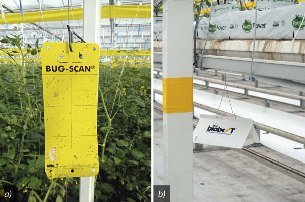 Pomůcky pro monitoring: a) žluté lepové desky se používají k monitoringu výskytu molic; b) pasti typu delta opatřené feromonovým odparníkem slouží ke sledování škůdců z řádu motýli 