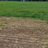 Rezidua herbicidů v půdě a jejich vliv na následné plodiny