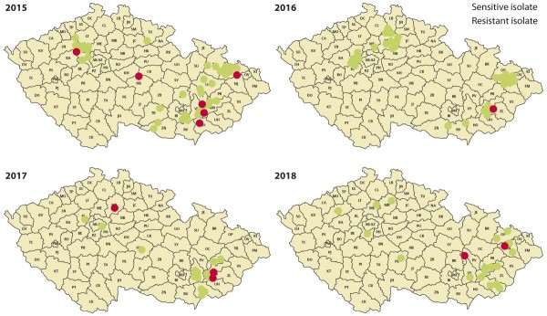 Mapa 4: Výskyt rezistentní reakce Oculimacula spp. vůči prochlorazu v letech 2015–2018 na našem území