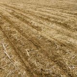 Vertikální zpracování půdy jako systémové řešení eroze a osevních postupů