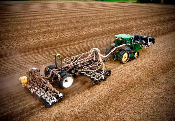 Setí dvou řádků pšenice do pásu zpracované půdy v meziřádku strniště sóji, která byla založena stejnou technologií na jaře; rozteč řádků 50 cm pro možnost pásového postřiku (Farma Chmel)