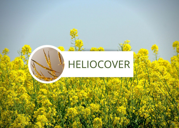 HELIOCOVER