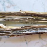 Choroby brukvovitých olejnin: Vadnutí řepky
