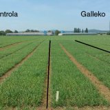 Prípravky Galleko a ich význam v období sucha