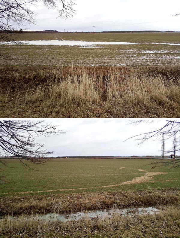 Obr. 1: Povrchový smyv na pozemku s ozimou pšenicí (březen 2019)