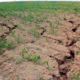 Propustnost půdy pro vodu v období po sklizni polních plodin