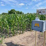 Moderní trend v monitoringu výskytu a ochraně před zavíječem kukuřičným