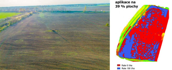 Obr. 1: Příklad cíleného provedení herbicidního zásahu dle podrobného snímkování zaplevelení vytrvalých plevelů (pcháč rolní) z dronu; na základě podkladové mapy zpracované společností Skymaps, s. r. o. bylo provedeno ošetření na 39 % plochy pozemku (namísto celoplošné aplikace)