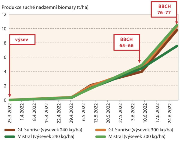 Graf 2: Grafické znázornění dynamiky celkové nadzemní biomasy porostů bobu obecného ve vztahu k růstovým fázím během vegetace