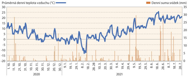 Graf 1: Průměrné denní teploty vzduchu a denní sumy srážek na lokalitě Kozojedy v době růstu porostů meziplodin v meziřadí (1. 10. 2020–31. 7. 2021), stanice Kozojedy - ISIDOR