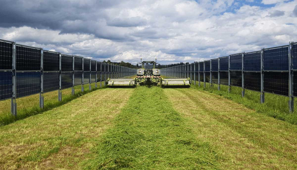 Obr. 2: Vertikální bifaciální agrivoltaický systém (zdroj: Next2Sun GmbH)