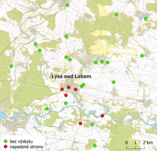 Mapa 2: Výskyt vrtule ořechové v Lysé nad Labem (ohnisko) a okolí