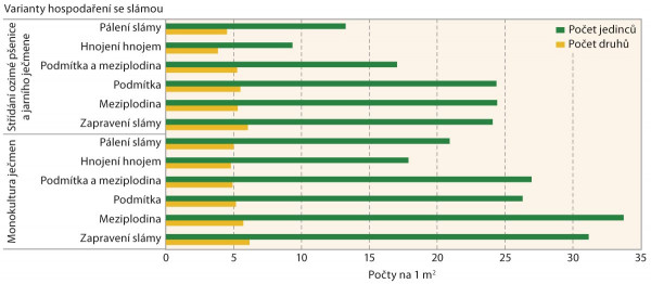 Graf 2: Celkový počet jedinců plevelů a druhů plevelů podle variant dlouhodobého pokusu