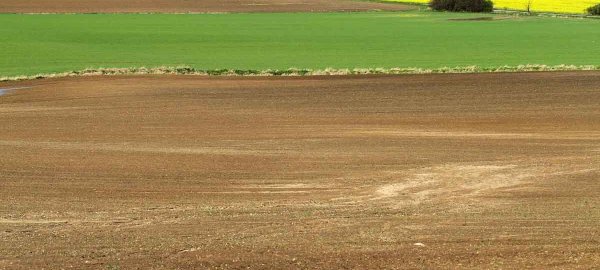 Snížené hnojení: Historický přehled vývoje metodik pro hnojení orných půd draslíkem vypracovaných VÚRV
