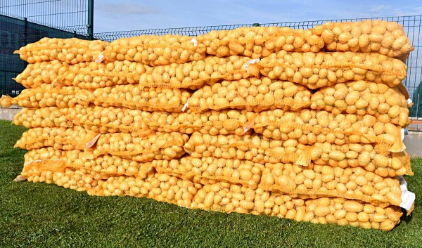 Obr. 1: Restrikce pesticidů může ztížit i rozsah pěstování brambor