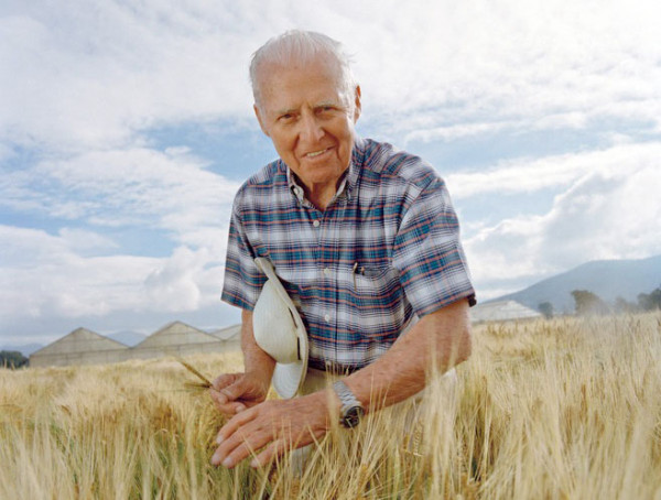 Obr. 2: N. Borlaug - americký šlechtitel norského původu, nositel Nobelovy ceny míru, člověk který svými polozakrslými pšenicemi uchránil miliony lidí od hladomoru a vykonal tak více práce pro lidstvo než vlády, politici (achievement.org)
