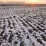 Aktuální přehled ochrany polních plodin - leden a únor 2022