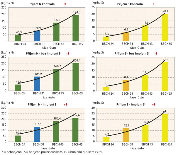 Graf 3: Dynamika příjmu N a S u variant hnojených a nehnojených dusíkem a sírou