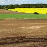 Snížené hnojení: Historický přehled vývoje metodik pro hnojení orných půd draslíkem vypracovaných VÚRV