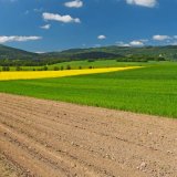 Regenerativní zemědělství (1): Hlavní cíle, předpoklady a zásady