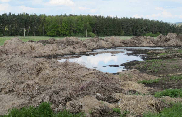 Obr. 1: Únik hnojůvky z polního hnojiště